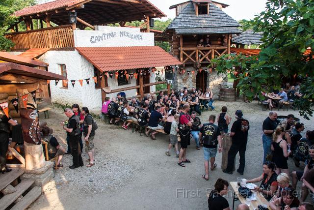 stein02.jpg