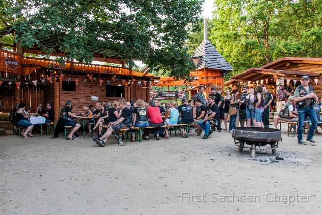 stein08.jpg